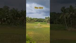 Pal Pal Dil Ke Paas song  hindisong youtubeshorts kerala trending shorts viralshorts