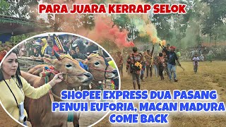SANG JUARA KERAPAN SAPI SELOK LUMAJANG 2026🔥 GAGAK RIMANG MASUK 3 PASANG, JANUR KUNING TEMBUS 1 ATAS