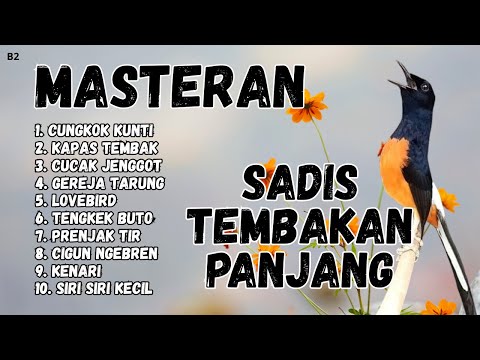 SETIAP PERSENDIAN MANUSIA ADA SEDEKAHNYA . . .