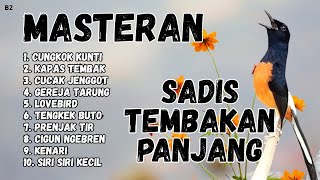 Download Lagu 🔴 GACOR SADIS MENTAL KUAT MASTERAN MURAI BATU GACOR MP3