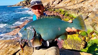 First Person to catch this fish on a Stickbait! screenshot 5