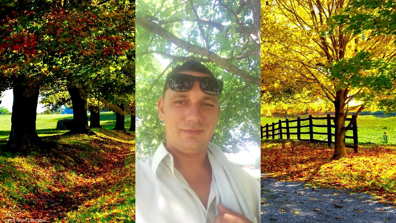 Éjjel az omnibusz / Sej, haj, Rozi - Nyitrai György