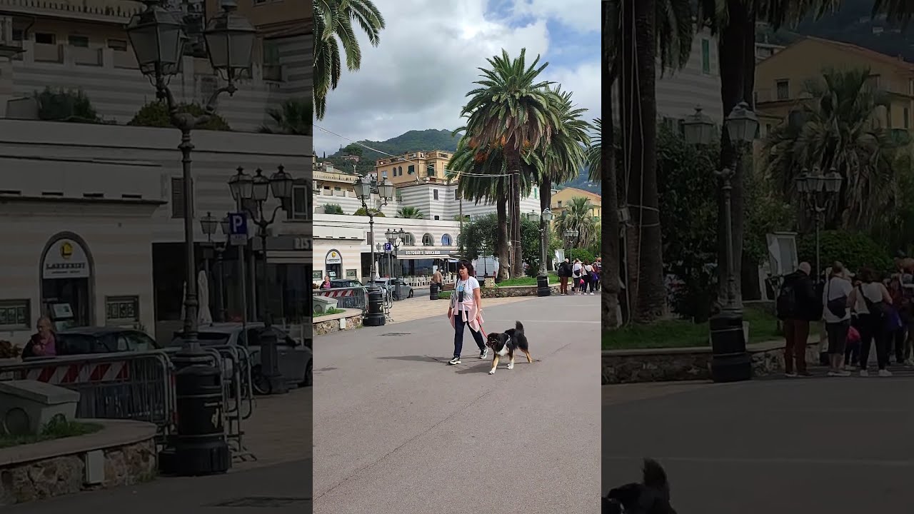 Rapallo 360° - coastal resort, Liguria, Italy. 