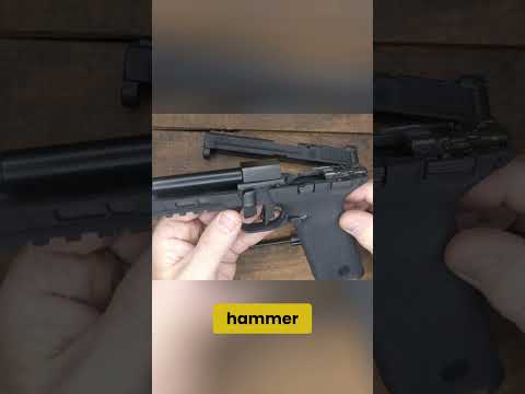 Smith & Wesson 22X 22 LR Gun Disassembly