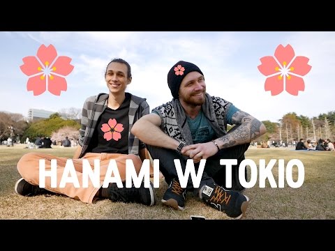 Wideo: Jak Wygląda Sakura W Roku