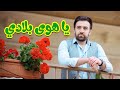 يا هوى بلادي - براء العويد | طيور الجنة