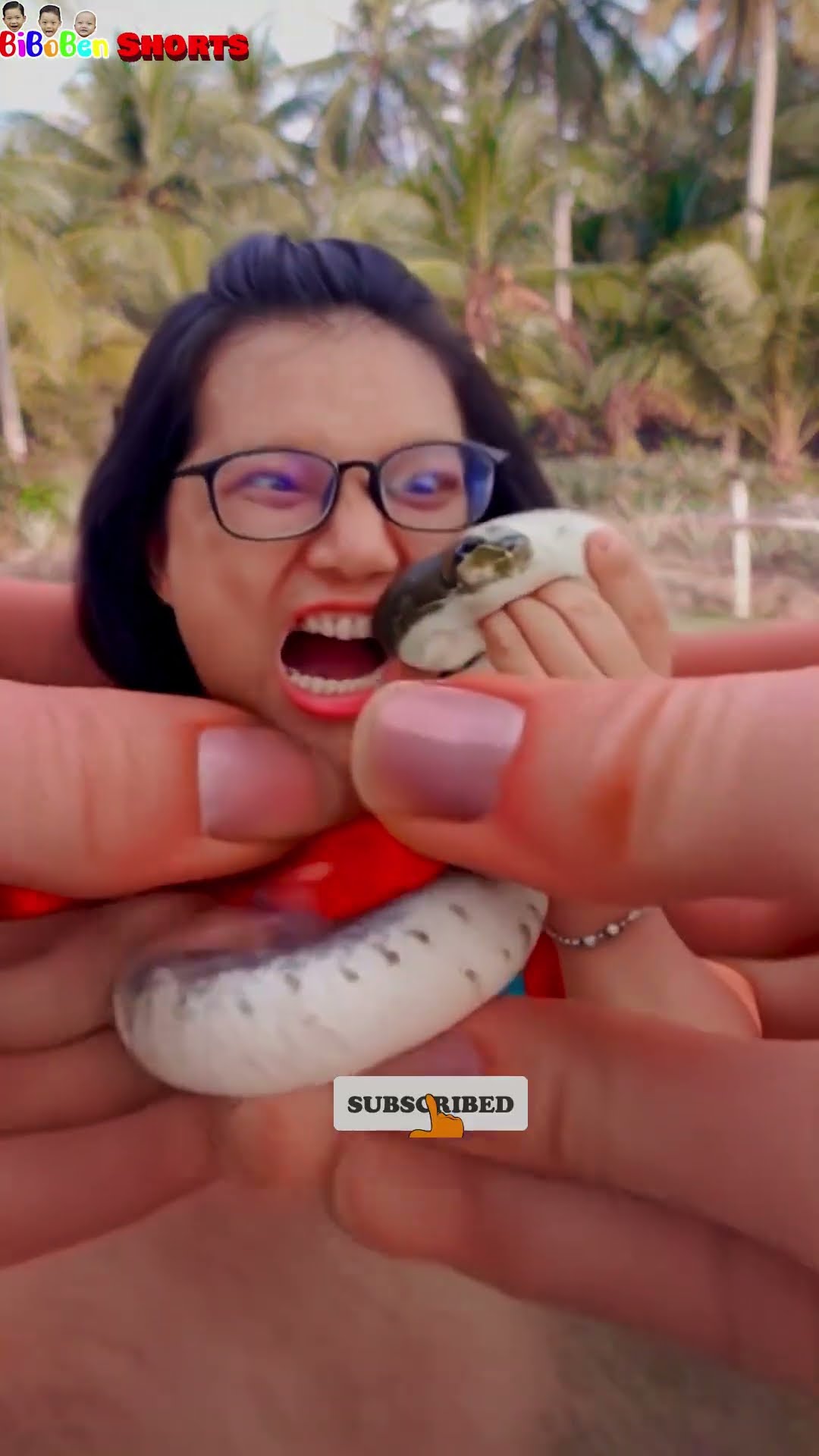 BiBoBen Shorts | Funny video