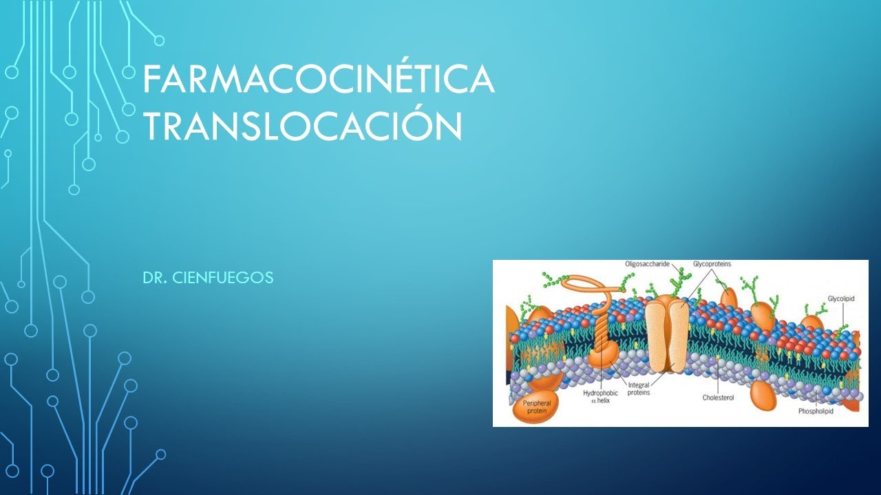 FARMACOLOGÍA, FARMACOCINÉTICA, DIFUSIÓN SIMPLE, DIFUSIÓN FACILITADA, TRANSPORTE ACTIVO, ENDOCITOSIS.