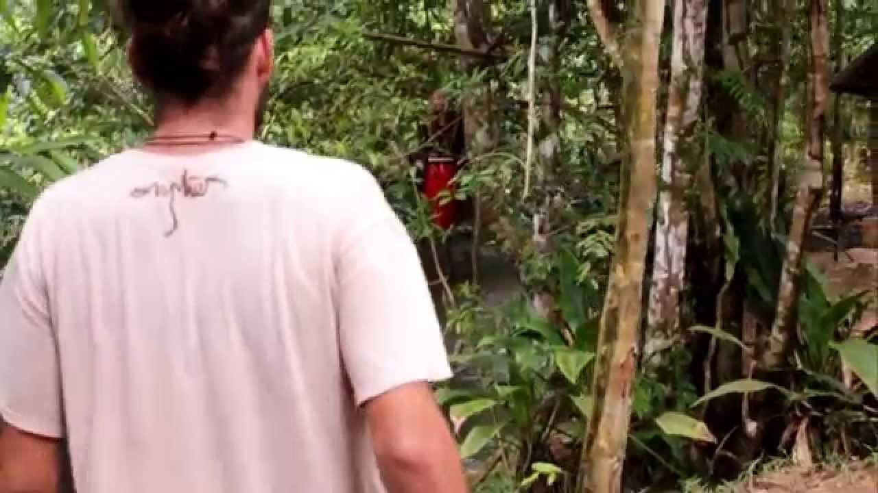 Borneo Sarawak Traditional Contemporary Music AT ADAU - PIMONU (Journey) OFFICIAL VIDEO