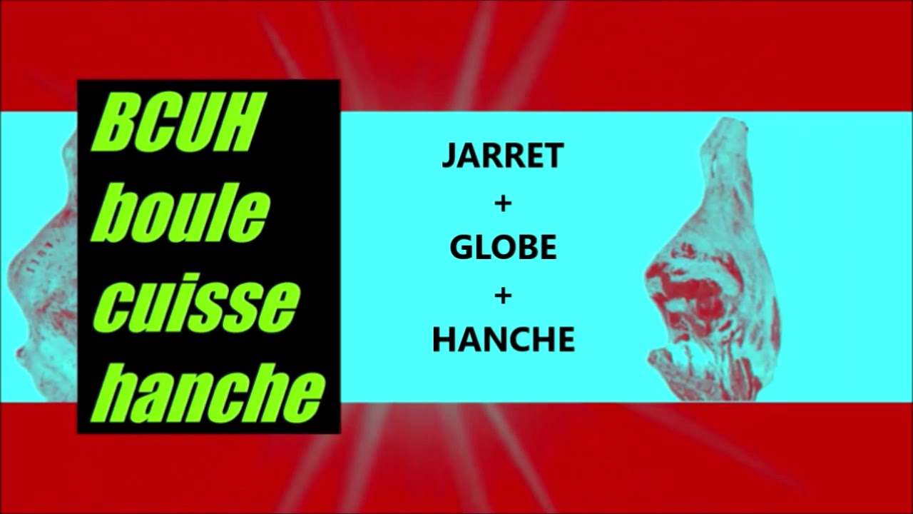 La découpe de gros du bovin adulte