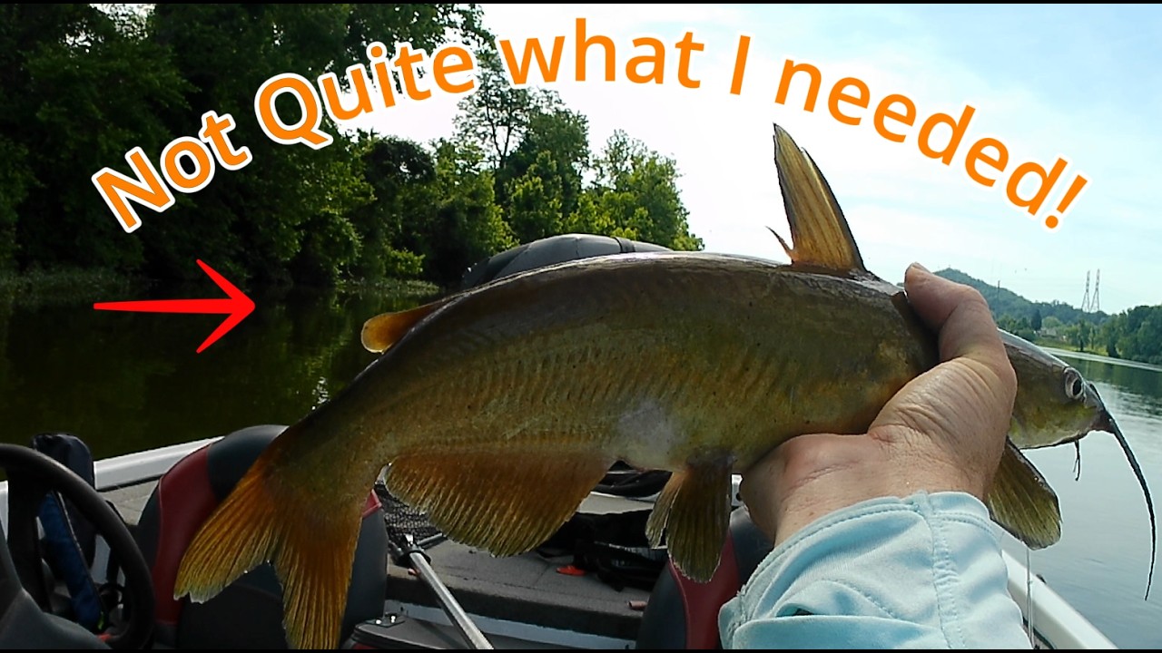 I Prefished the Kanawha River – Here's What Happened