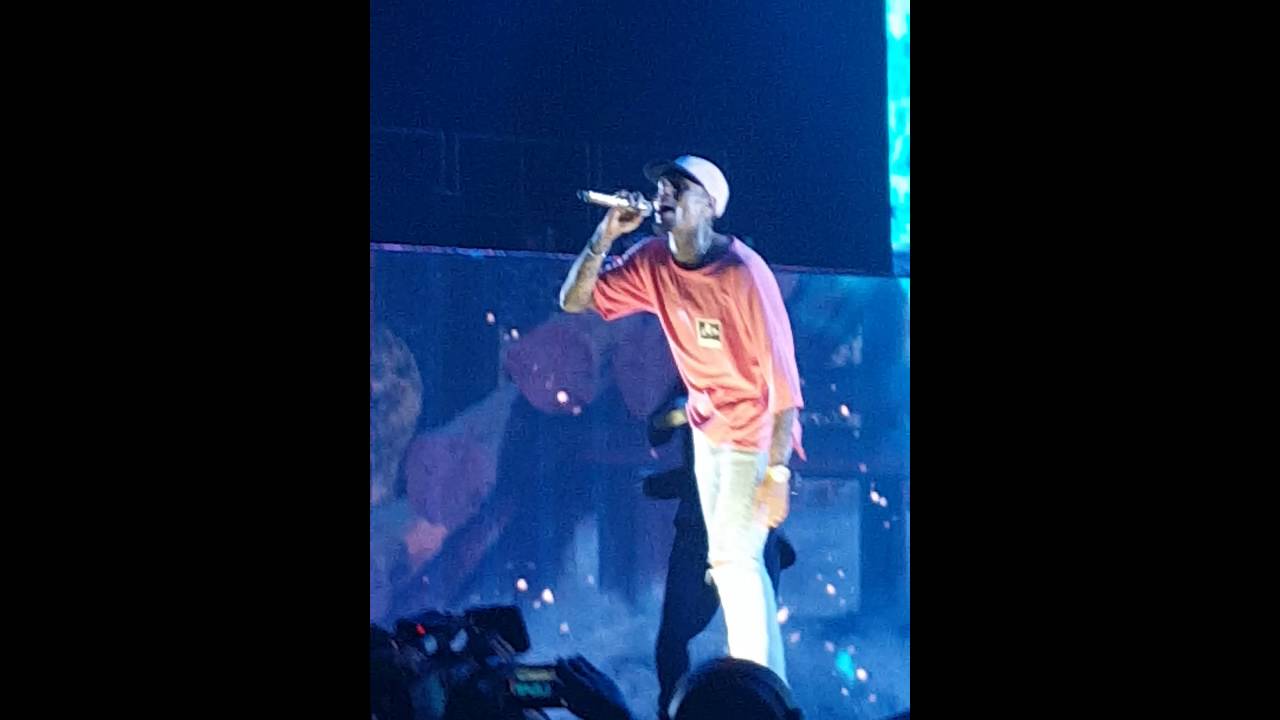 Chris Brown - Strip (Live)(One Hell Of A Nite Tour 2016) 8.6.2016