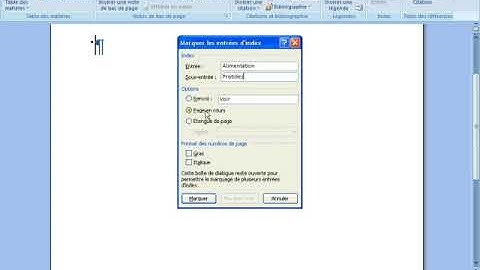 Créer des entrées et des sous-entrées d