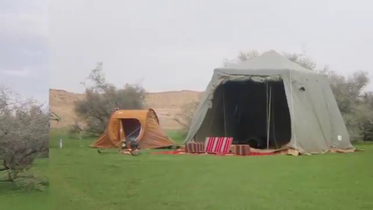 ربيع شعيب الحسكي .. فياض لينة .. الاعصل .. الشوكي 1437/2/29