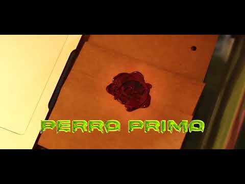 L- Gante❌Roman El Origininal❌Perro Primo - #XDTRA- (Video Oficial)