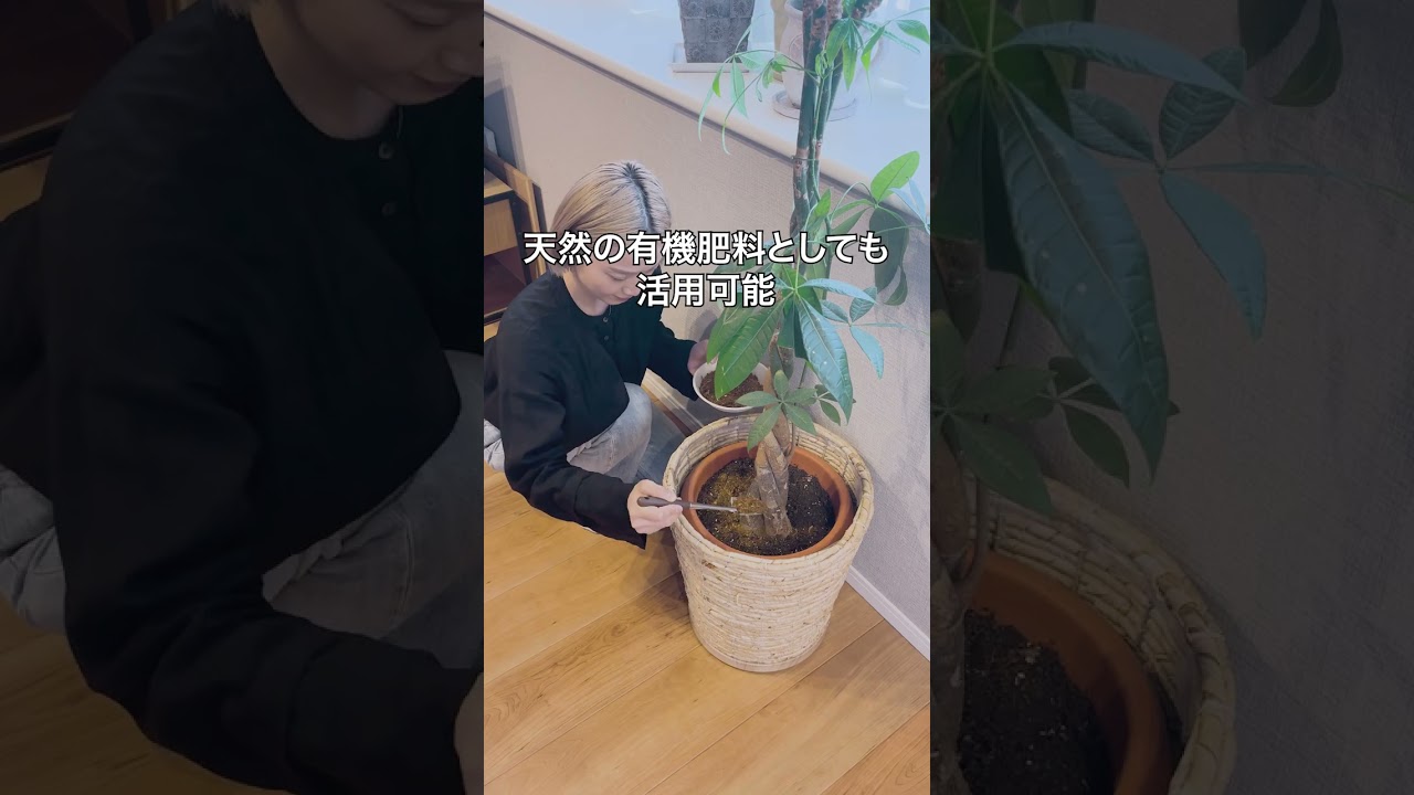電気式 生ごみ再生機（乾燥式生ごみ処理機）GREEN CIRCULAR BOX 