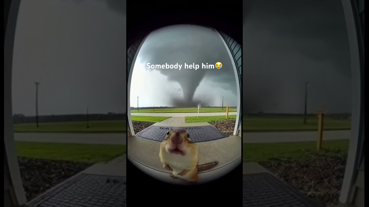 Somebody help him😭 