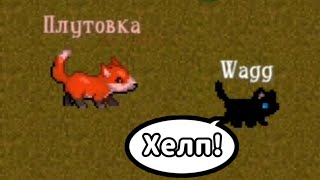 Wild cats online: Лиса хочет меня сожрать! | Коты-воители