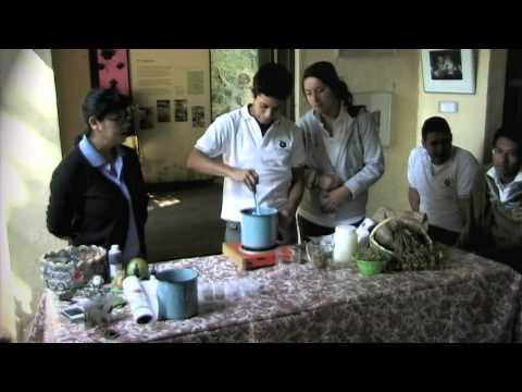 Vídeo: Pomadas Curativas Na Medicina Tradicional