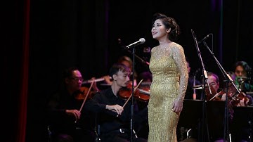 Chúng Con Canh Giấc Ngủ Của Người (Nguyễn Đăng Nước) - Nsưt Hồng Vy & Nsưt Trọng Tấn