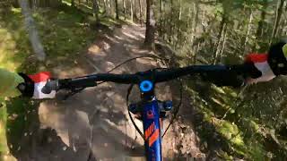 WEXL Trails DH LINE  HD 1080p #deschmallis #teammachete #mondrakerbikes #wexltrails leider geil