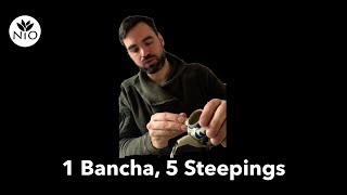 1 Bancha, 5 Steepings