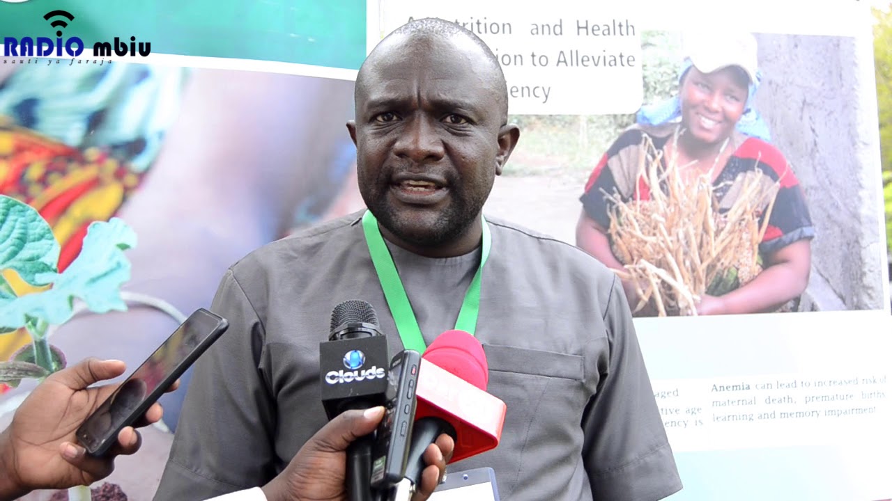 DKT MPOKI: MBEGU BORA ZA MAHARAGE HUTOA MAVUNO BORA.