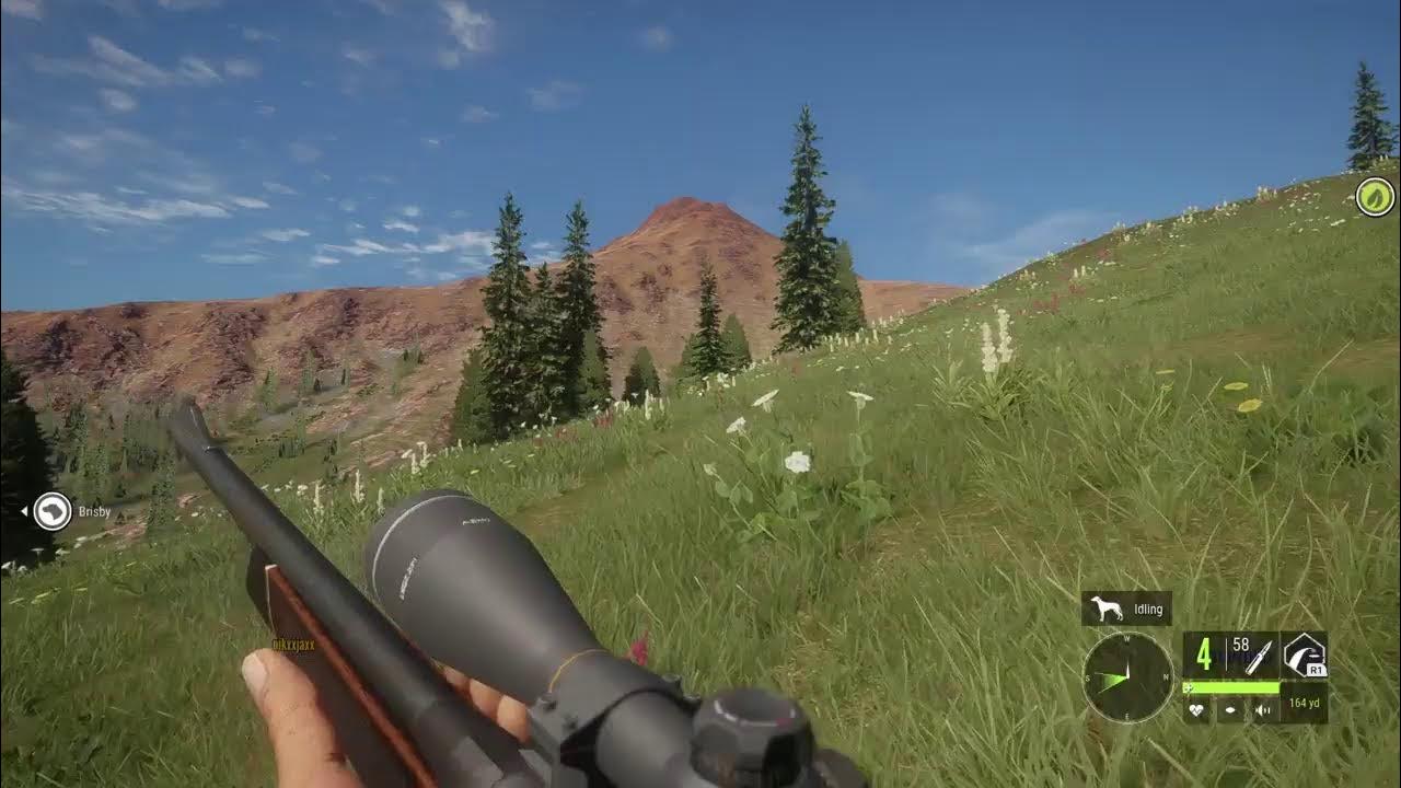 The Hunter CoTW Stream Ep1 The Old .303 YouTube