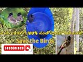 save birds⛄#viral #save the earth🌎#Humanity/heart touching moment#trending #youtubeshorts