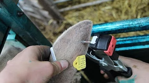 Genotyping - What is it?