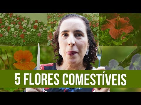 Vídeo: Quais Flores Podem Ser Usadas Na Culinária