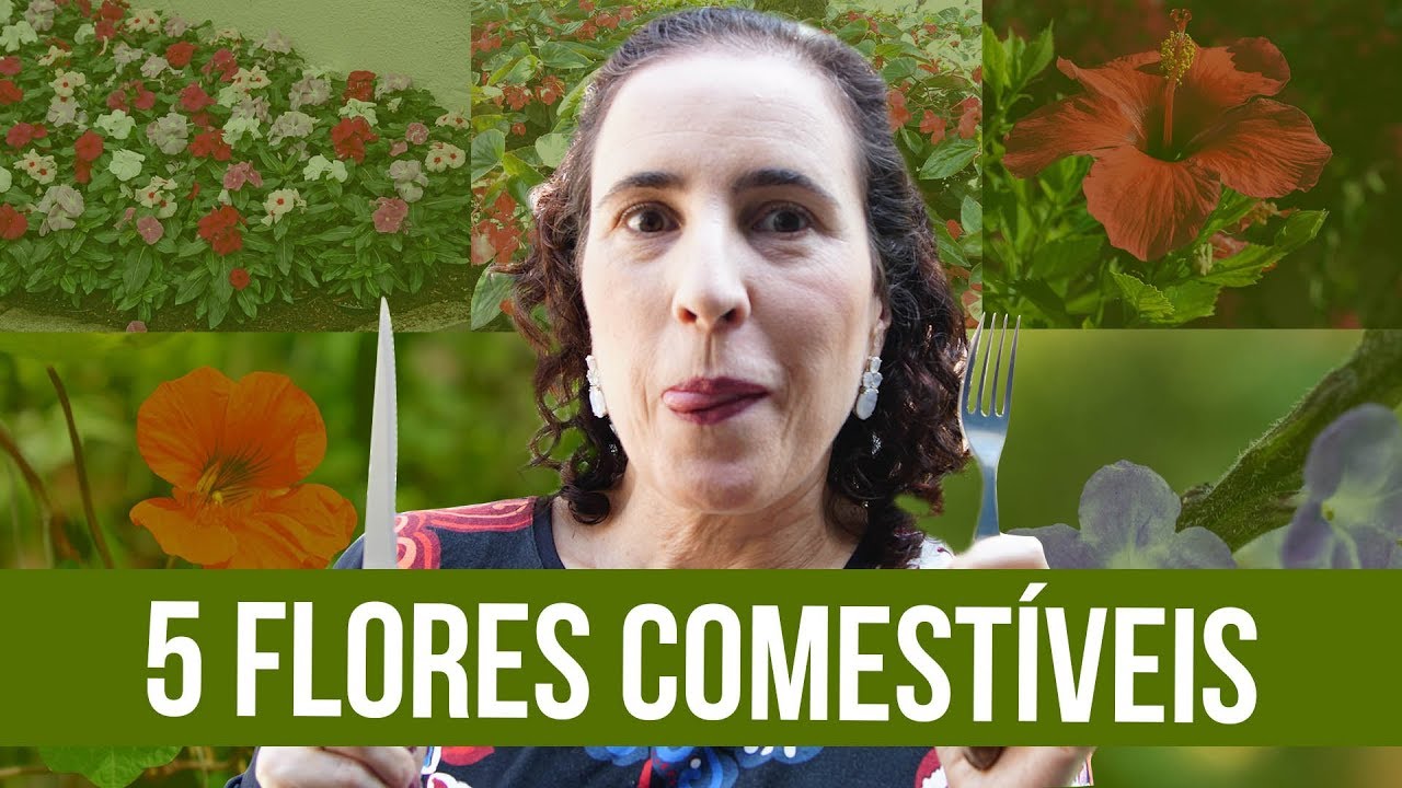 5 Flores Comestíveis que Você Precisa Experimentar | Nô Figueiredo