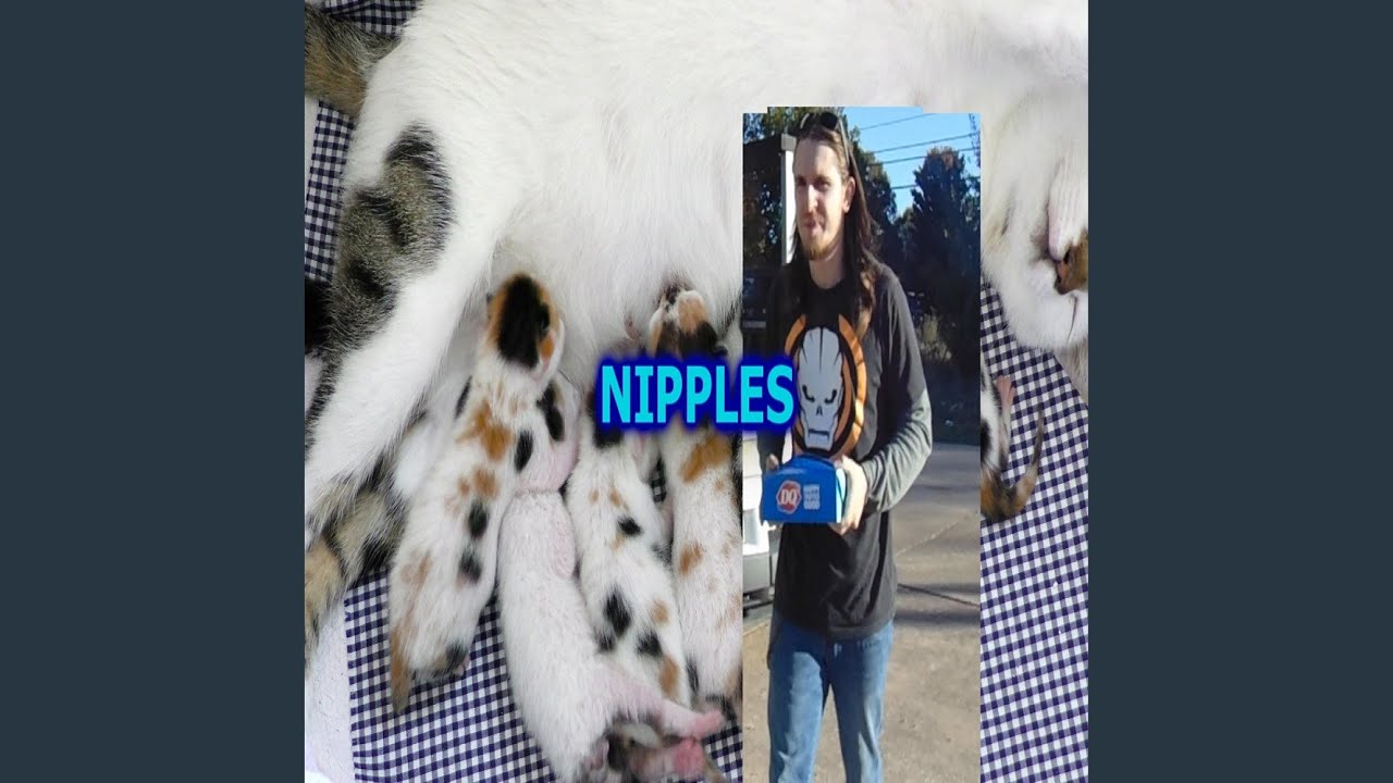 Watch NIPPLES on YouTube Watch NIPPLES on YouTube