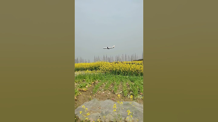 Let’s watch the plane together 怎么都是小飛機#田園風光無限好1689