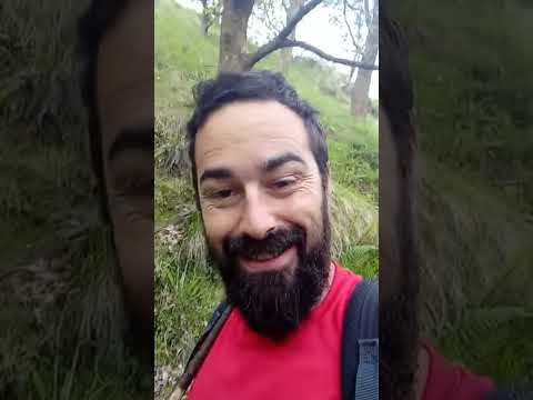 Nel Cañedo y la decisión de Suecia de eliminar la mitad de su poblaci&oacute;n de lobos