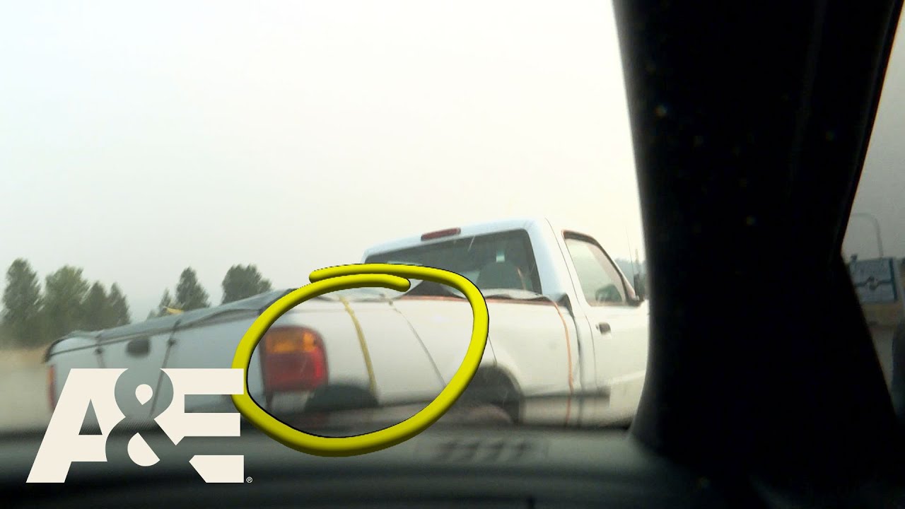 Live PD: After Action Report - 