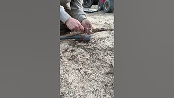 Quick ignition with the Leatherman Signal 💥🚀