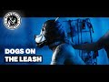 Dogs on the Leash - The O'Reillys and the Paddyhats [Official Video]