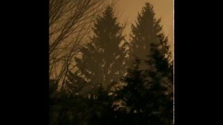If These Trees Could Talk - Above the Earth, Below the Sky (2009)(Full Album)
