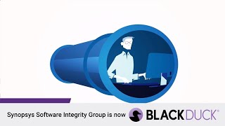 BSIMM: Building Security In Maturity Model With Chinese Subtitle | Black Duck