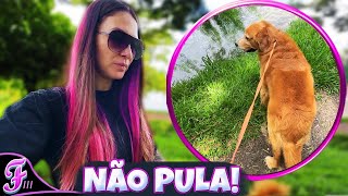 MEU CACHORRO QUERIA PULAR NO LAGO! - Fran Japa