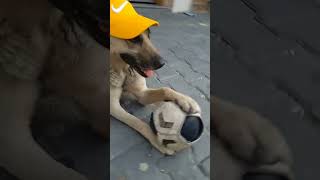 Delikanlı Dediğin Kimseden Korkmaz Lanaoshapahdpw