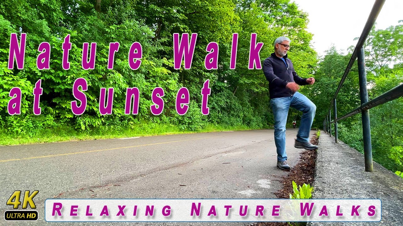 Calming nature hike at dusk along the Terry Fox Parkway Trail | Relaxing Nature Walks| 4k Nature