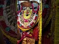 Maa Vindhyavasini Aarti 🚩🙏🏻#vindhyachaltemple #shortsfeed #ytshorts #viral #status