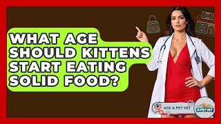 What Age Should Kittens Start Eating Solid Food? - Ask A Pet Vet