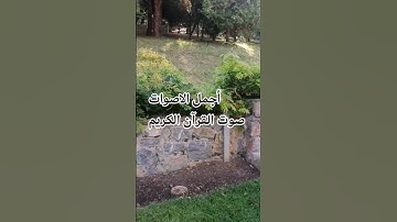 تلاوه خاشعة من القرآن الكريم بصوت جميل للشيخ اسلام صبحي من سورة التحريم ♥️🌹