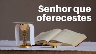 Video thumbnail of "Senhor que oferecestes (Ato Penitencial) - Leandro Dim #CantosParaMissa #TempoComum"