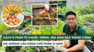 Tập 72 Hướng dẫn ủ phân từ chuối, trứng, sữa thành công mà không dùng chế phẩm vi sinh