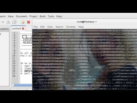 How to attack website with Kali Linux