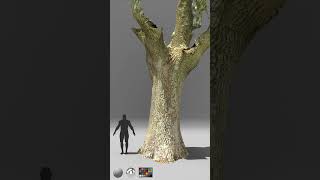 Photogrammetry Raw Scan - Oak Tree | 281 | Open Field Wiv | #3d